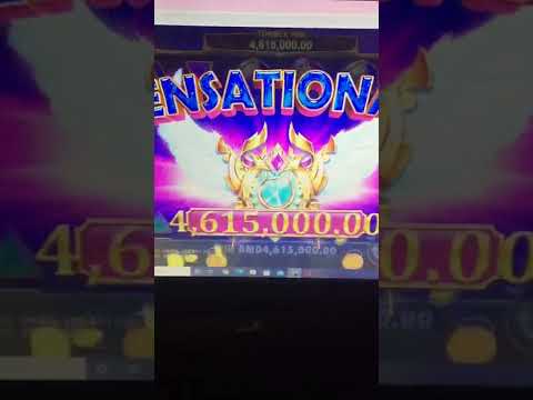 Winmaker Casino: A Trustworthy Option for English-Speaking Australians to Play Online