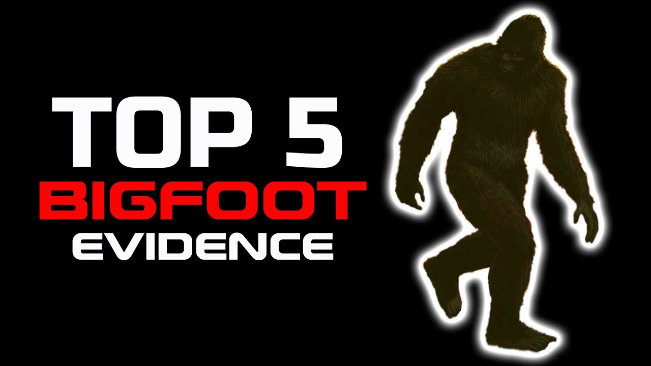 TOP 5 des Preuves de Bigfoot