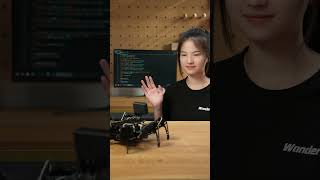 Explore Smarter Sensing With Hexapod Minihexa