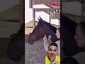 #shortviral #humor