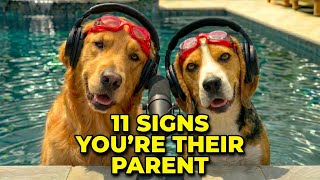 11 Signs Proves Your Dog Sees You As Their Parent – Here's Why!