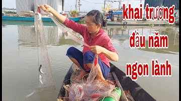 Mùng 3 Tết Sư Mẫu Khai Trương Đầu Năm Lưới Cá Sác Kết Quả Ngon Lành # SĂN BẮT ĐỒNG THÁP #