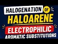 Halogenation of Haloarene | Electrophilic Substitution #chemistry #haloarene