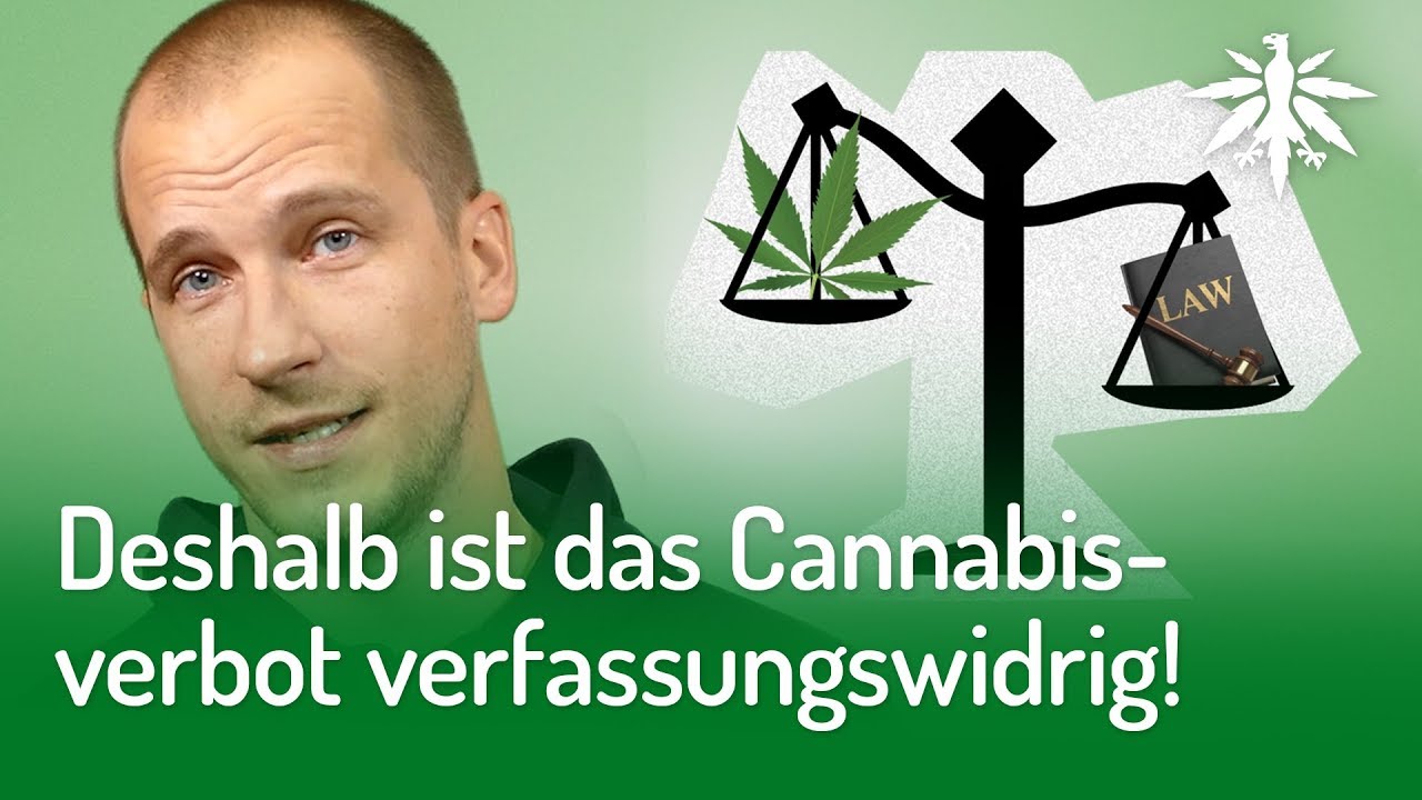 DESHALB ist das Cannabisverbot verfassungswidrig!