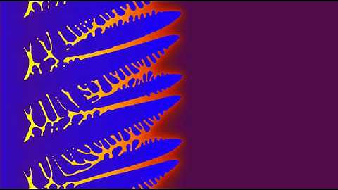 Dendritic solidification in a Fe-0.11C wt% steel