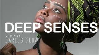 Darles Flow - Deep Senses | Deep Afro House | Vocal Mix |