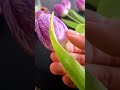 Flowers? Always! #springflowers #simplelife #adayinmylife