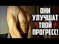 ТОП 10 Тренажёров с AliExpress для КЛАССНЫХ ТРЕНИРОВОК!