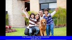 Exterminator Ridgefield Ct: Expert Pest Control Services‎ in Ridgefield, Connecticut 