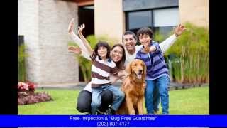 Exterminator Ridgefield Ct: Expert Pest Control Services‎ in Ridgefield, Connecticut