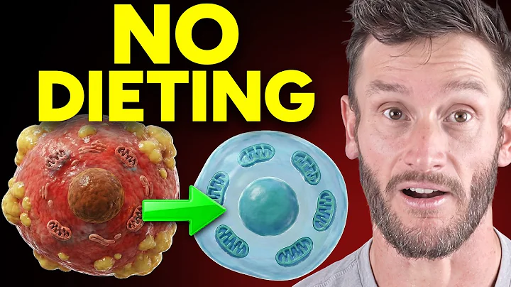 This Ends Mitochondrial Dysfunction (in days NOT years)