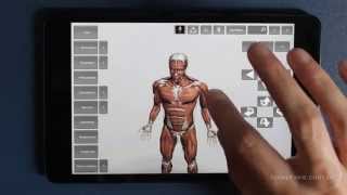 Tutorial: Introd. a Anatomia humana para mobile v0.4 screenshot 4