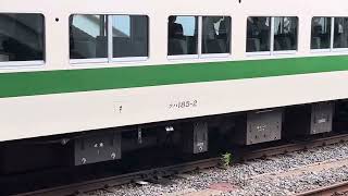 【100周年バトンリレー号】185系C1編成／成田駅