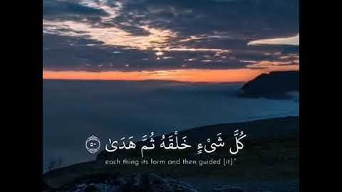 اجمل حالات واتس اب قران كريم بصوت جميل جدا🖤   من سورة طه ⚡
