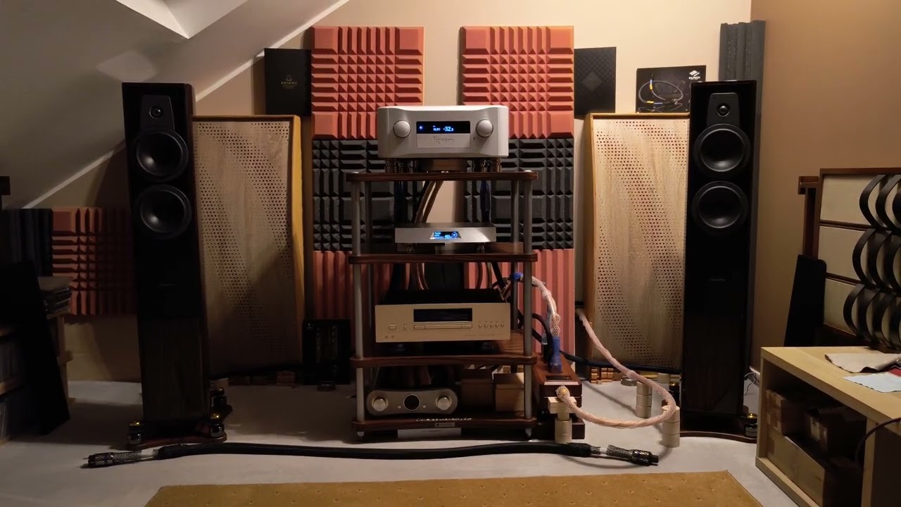 Esoteric F01 Lumin T2 Dynaudio Contour 30 #108