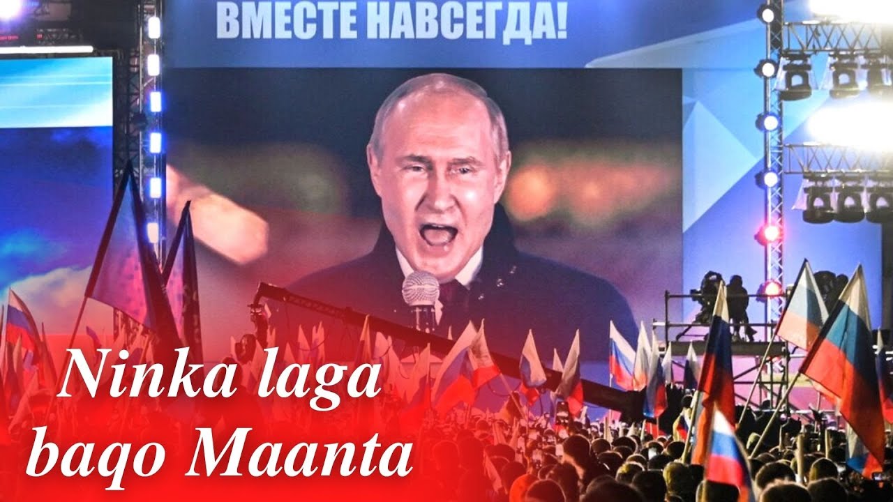 MAREYKANKA SİDDEE AYUU U YURUB U GUMEYSTAA (Gumeysiga dadban ee Mareykan)