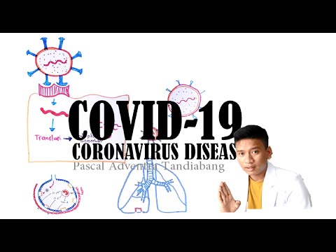 COVID-19 | Coronavirus : Epidemiologi, Patofisiologi, Diagnosis, Tatalaksana, Prognosis dan Edukasi