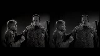 Son of Frankenstein - Comparing Blu-ray & DVD