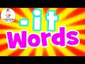 Video Tutorial Quiz