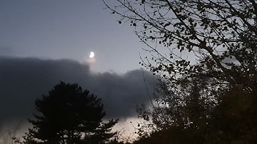 Herfst/Autumn in Holland 2025-34: Herfstavond bij Zinsondergan over Schoorl/25 November