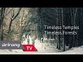 [Arirang Prime] Timeless Temples, Timeless Forests _ Full Episode