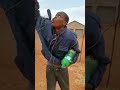 Venda comedian