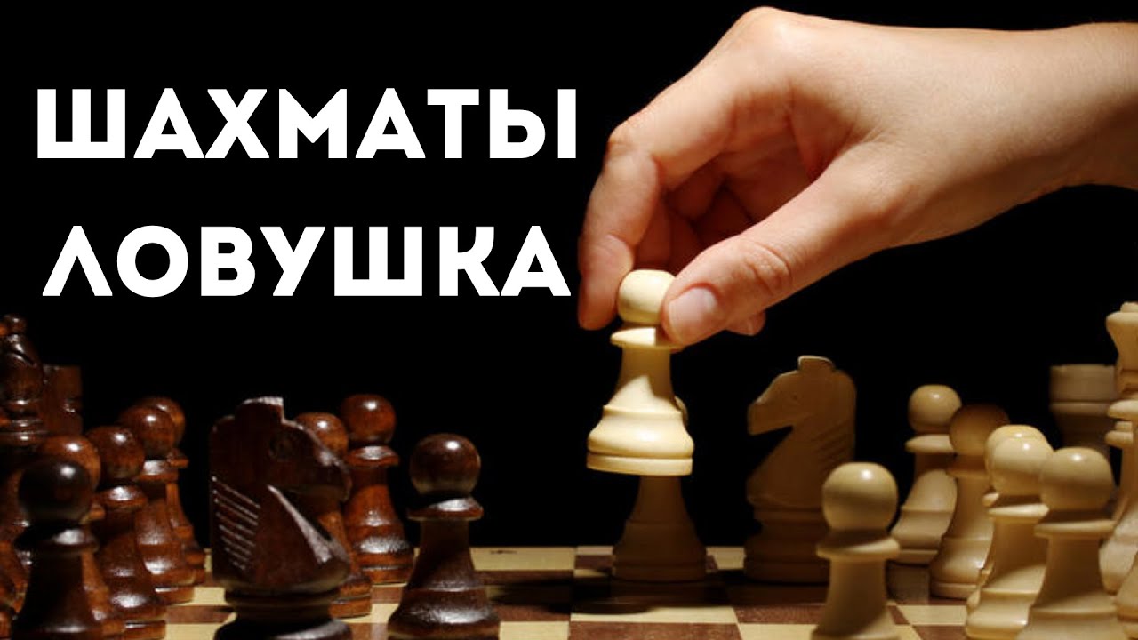 Интересный ЛОВУШЕЧНЫЙ вариант в дебюте Испанская партия! Шахматные ...