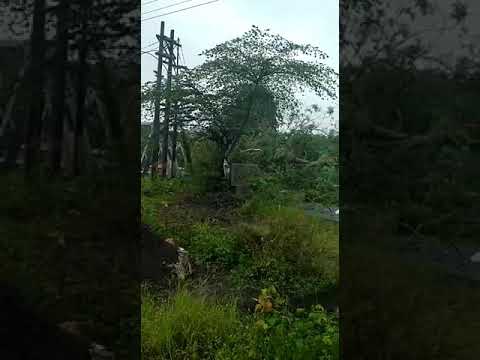 GEBYAR BARONG || JARANAN SATRIO PENDOWO LIMO || LIVE SASAK BOMO