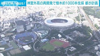 神宮外苑再開発で・・・約1000本の樹木伐採　都が計画(2022年2月10日)