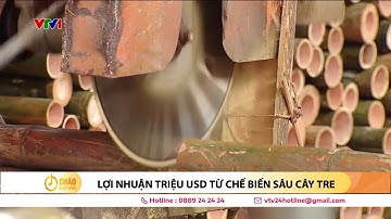 Lợi nhuận "khủng" triệu USD từ chế biến sâu sản phẩm từ cây tre | VTV24