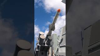 What Happens When a Harpoon Hits