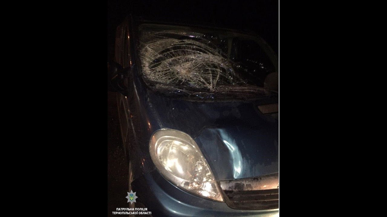 тернополяни спорт У Тернополі чоловіка, який фотографував ДТП - на смерть збила машина