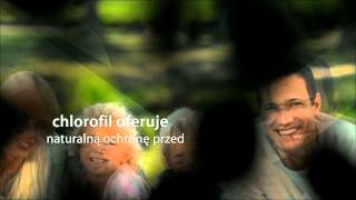 Liquid Chlorophyll - Chlorofil Zielony Barwnik