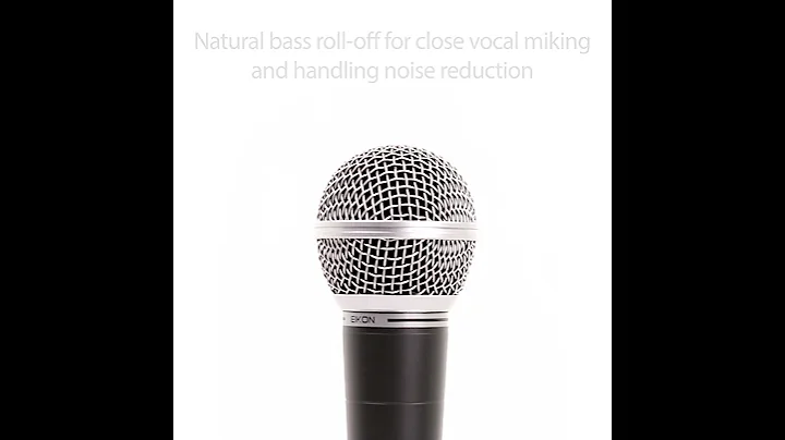 PROFESSIONAL VOCAL DYNAMIC MICROPHONE - EK DM580