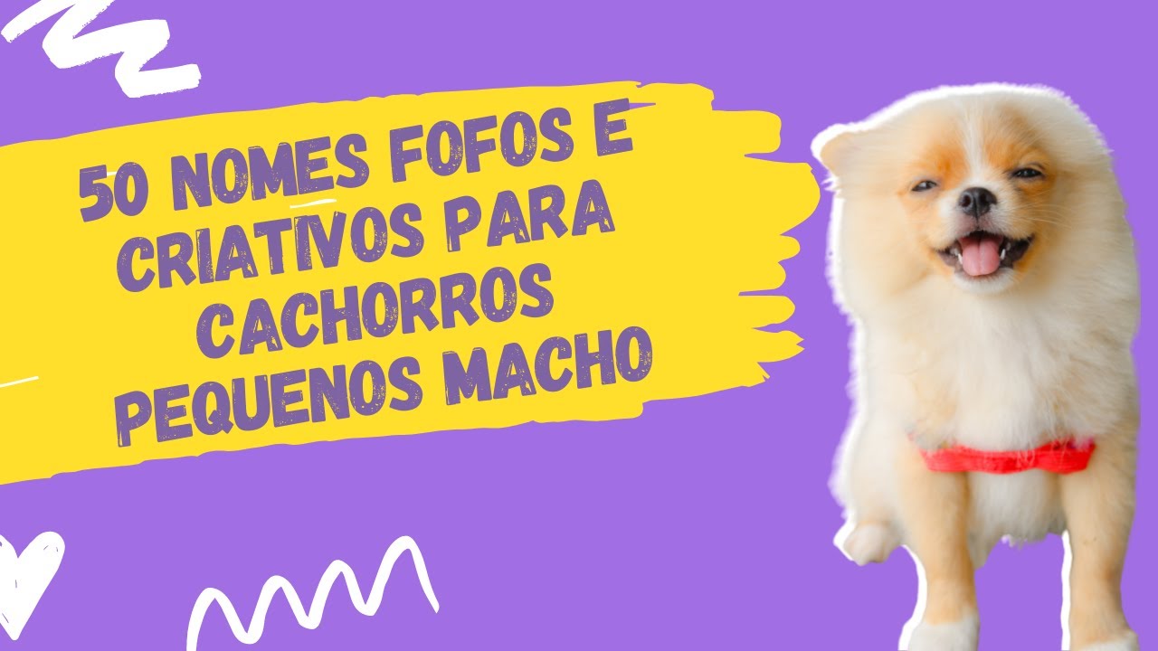 50 Nomes Fofos e Criativos para Cachorros Pequenos (Macho) - YouTube