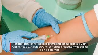Best Phlebotomy Schools Dallas Texas