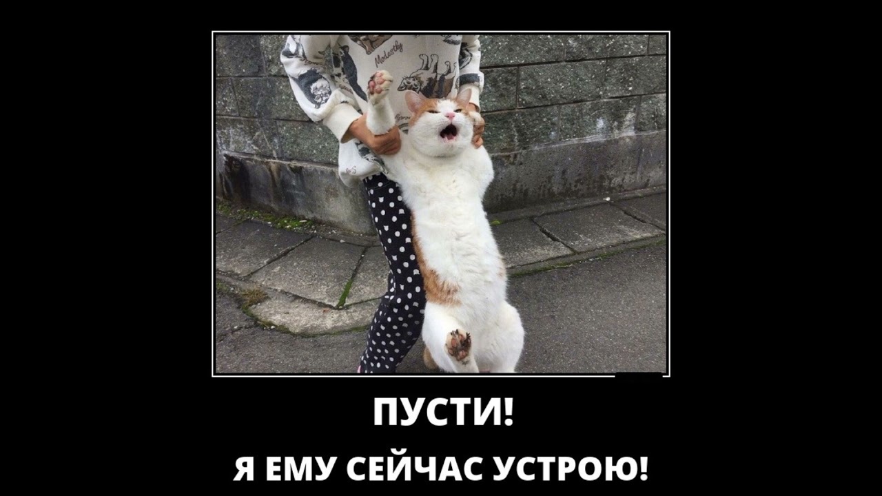 Скачай это бесплатное Фото на тему Не пущу мем и открой