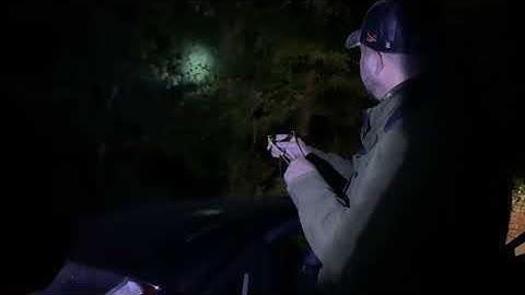Slingshot hunting pheasants for the pot 