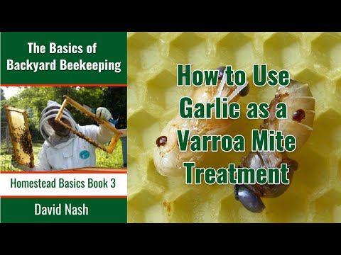 Comment utiliser l'ail comme Varoa Mite traitement