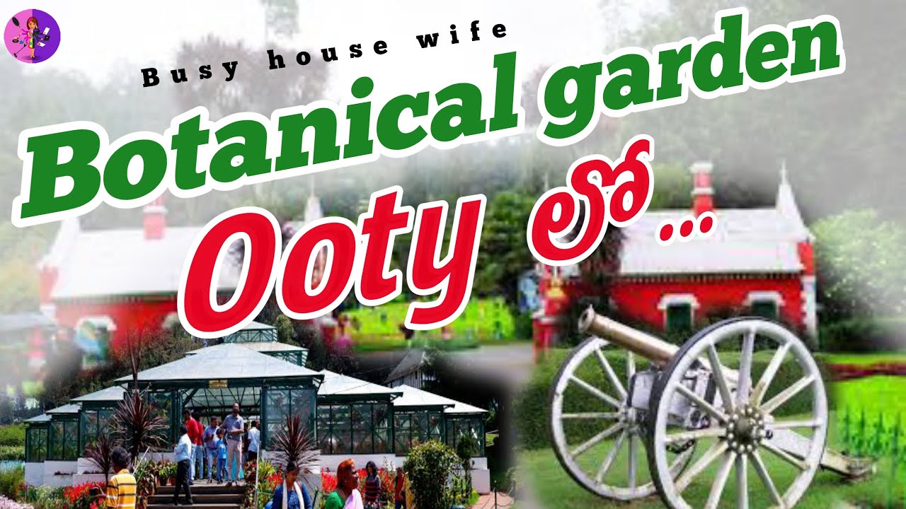 Botanical garden in ooty || Ooty trip || in telugu || busy house wife