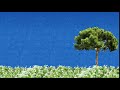 My First Pixel Art Animated Background