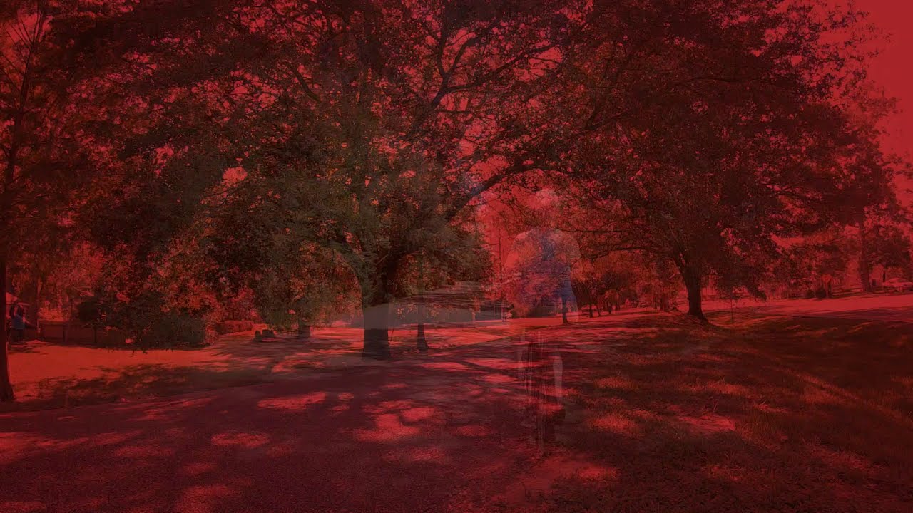 The Jingle Kings / Hollywood Bicycle Dream (Music Video)