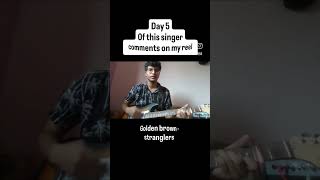 day 5 golden brown by stranglers #goldenbrown #coversong