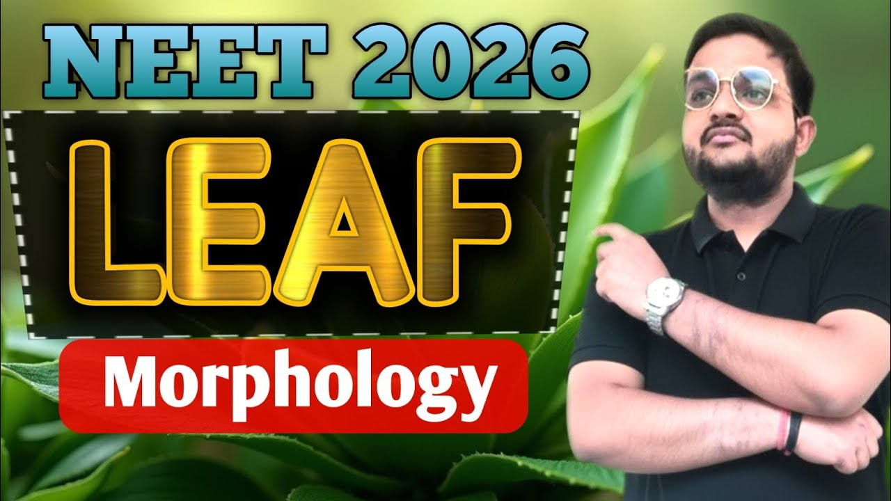 MORPHOLOGY | LEAF | BIOLOGY CLASS 11 | BIOLOGY NCERT LINE BY LINE | NEET 2026