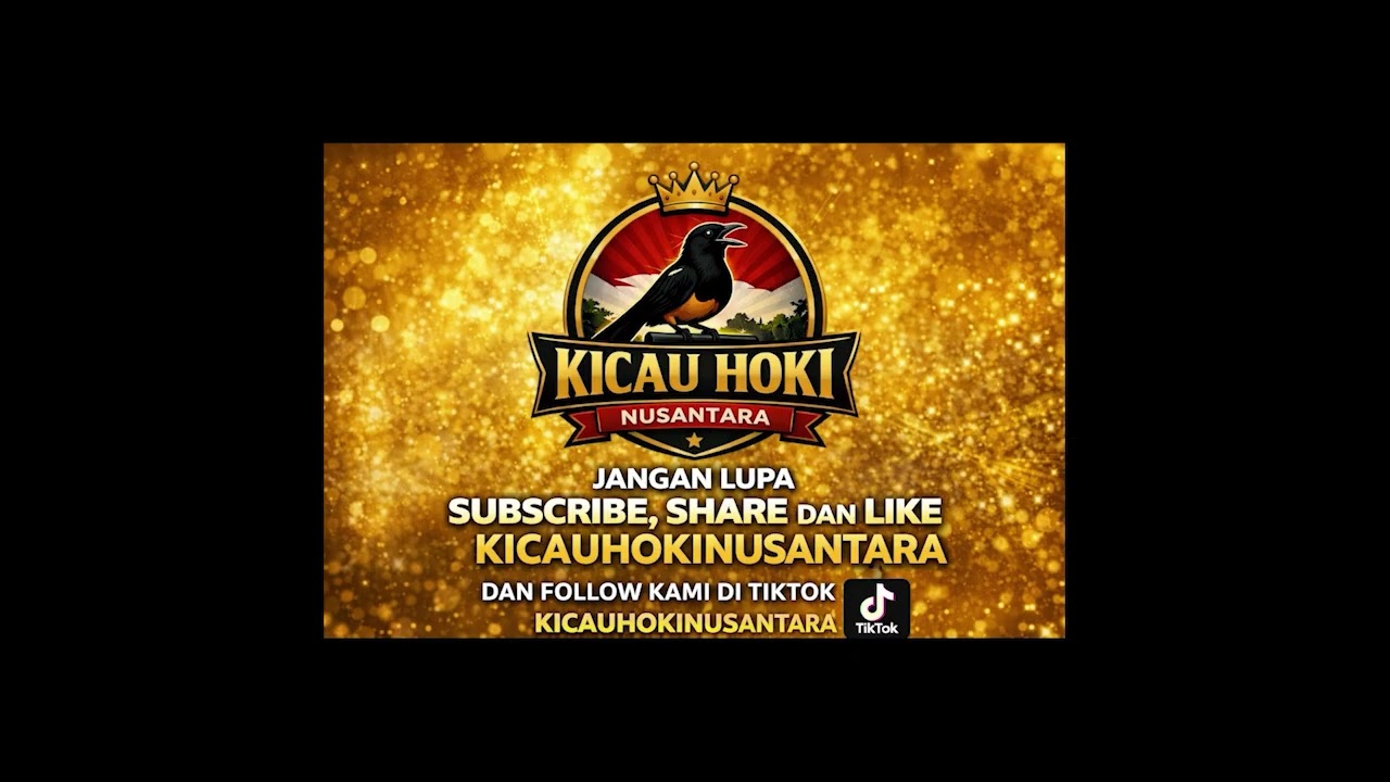 MASTERAN MURAI ISIAN CILILIN 2 JAM 🔥 FULL JEDA — Bikin Murai Cepat Nembak & Ngerol Panjang