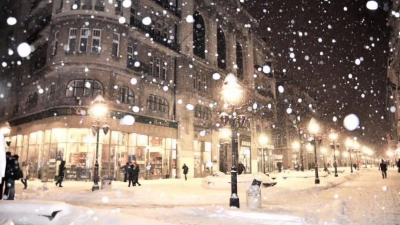 bootstrap paradox winter fashion 2013