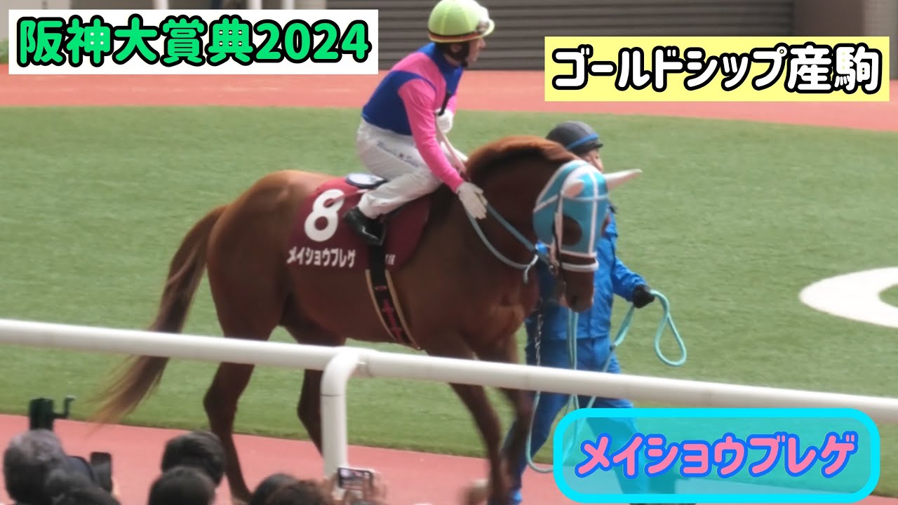ゴールドシップ産駒】酒井騎手が乗ると気合が入ってトタトタ歩き出す 