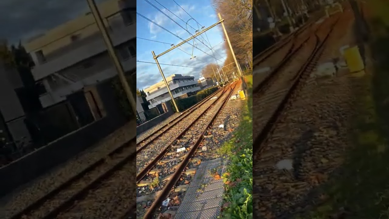 Good evening Netherlands 🇳🇱