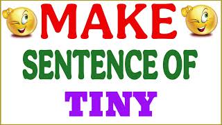Make sentence of Tiny | Tiny in sentence | Tiny ka make sentence | Tiny use in sentence