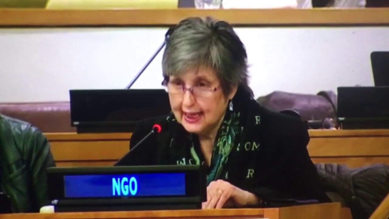 CICIAMS, United Nations, April 4, 2019, 52nd Session of the Commission on Population and Development